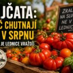 Zralá červená rajčata a bazalka v dřevěné bedýnce na letním slunci, symbol sezónní chuti rajčat a správného skladování mimo lednici.
